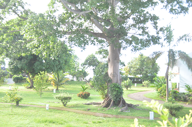 Negril, Jamaica, Point Village